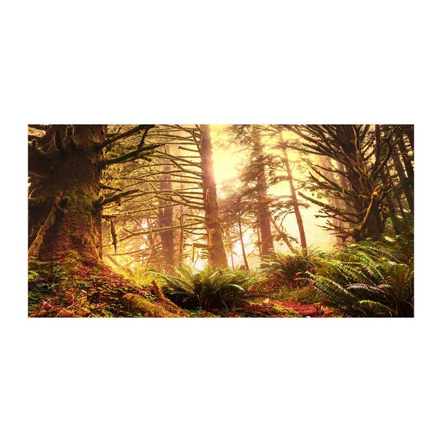 The Rainforest - Unframed Art Prints on Canvas Alpen Home on Productcaster.