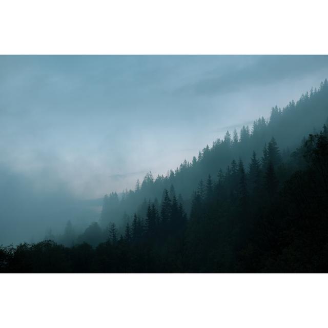 Misty Forest - Print Alpen Home Size: 30cm H x 46cm W x 3.8cm D on Productcaster.