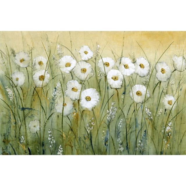 Daisy Spring I by Tim OToole - Wrapped Canvas Painting Marlow Home Co. Size: 20cm H x 30cm W on Productcaster.