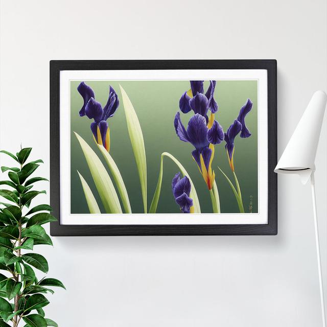 Shimmering Iris Flowers - Single Picture Frame Print 17 Stories Size: 34cm H x 46cm W x 2cm D, Frame Colour: Black on Productcaster.