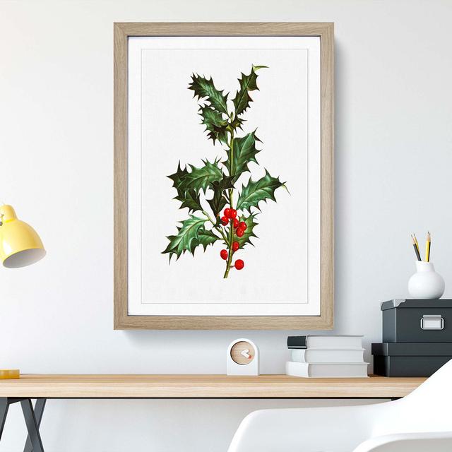 Holly Branch Berries by Pierre-Joseph Redoute - Picture Frame Painting Print East Urban Home Size: 65cm H x 48cm W x 2cm D, Frame Option: Oak Framed on Productcaster.