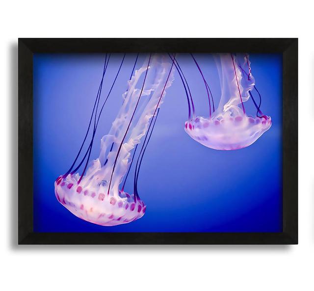 Pink Jellyfish - Picture Frame Graphic Art on Canvas House of Hampton Size: 60cm H x 84cm W x 10cm D on Productcaster.