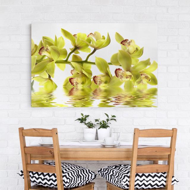 Leinwandbild Splendid Orchid Waters East Urban Home Größe: 180 L x 120 B on Productcaster.