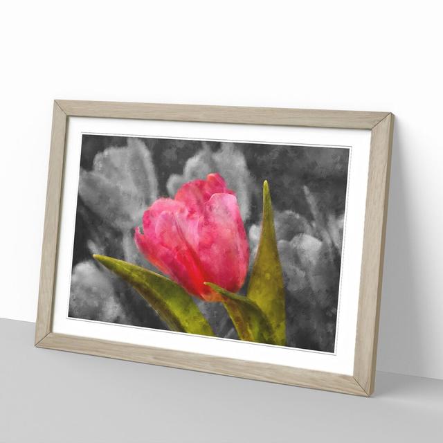 Pink Tulip Flower - Picture Frame Graphic Art East Urban Home Frame Option: Oak Framed, Size: 27cm H x 36cm W x 2cm D on Productcaster.