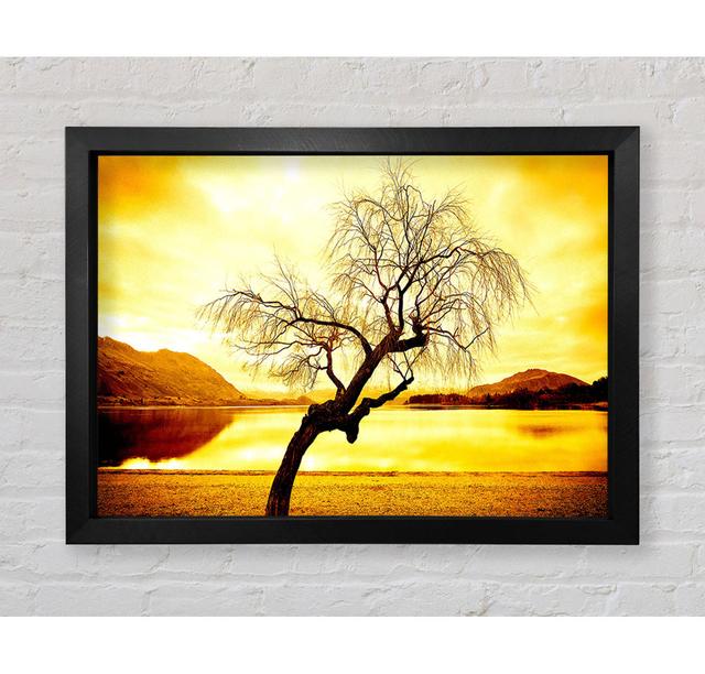 Willow Tree In Winter - Single Picture Frame Art Prints Bright Star Size: 84.1cm H x 118.9cm W x 3.4cm D on Productcaster.