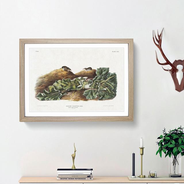 Least Shrew by J.W. Audubon - Picture Frame Painting Print East Urban Home Frame Option: Oak Framed, Size: 48cm H x 65cm W x 2cm D on Productcaster.