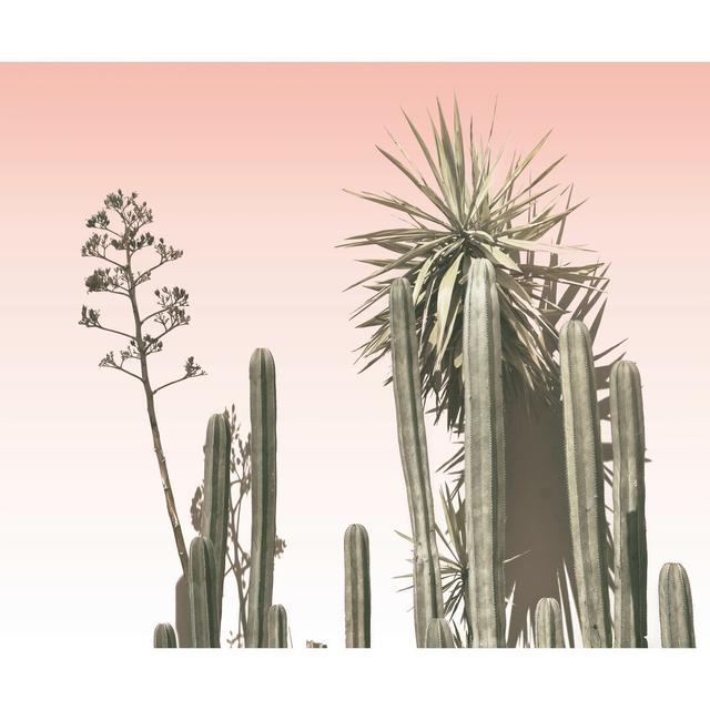 Cacti With Pink - Wrapped Canvas Painting Gracie Oaks Size: 51cm H x 76cm W x 3.8cm D on Productcaster.