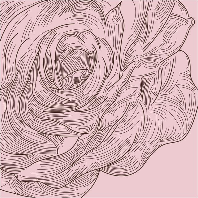 Rose Close Up by Samposnick - Print ClassicLiving Size: 76cm H x 76cm W on Productcaster.