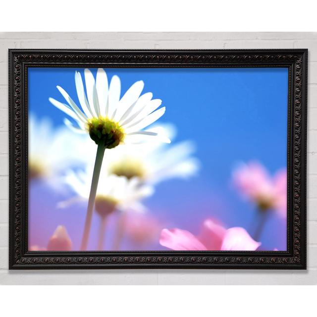 Daisies in the Sky - Picture Frame Art Prints Bright Star Size: 84.1cm H x 118.9cm W on Productcaster.