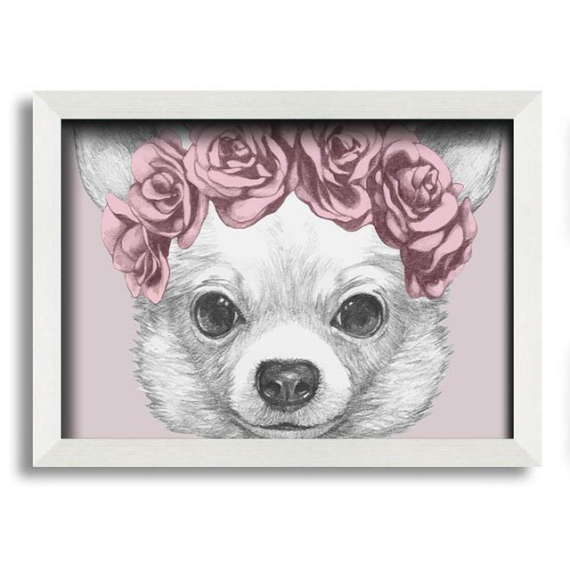 Guanaja Flower Head Chihuahua - Single Picture Frame Art Prints Maturi Size: 42cm H x 59.7cm W x 10cm D on Productcaster.