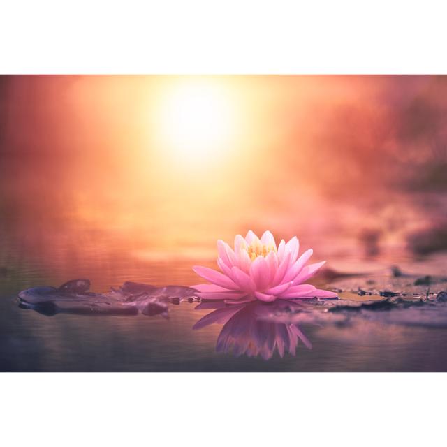 Pink Lotus Flower - Wrapped Canvas Print Latitude Run Size: 51cm H x 76cm W x 3.8cm D on Productcaster.