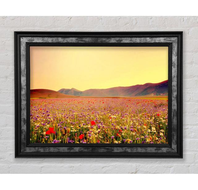 Sunny Field Of Beautiful Wild Flowers - Einzelner Bilderrahmen Kunstdrucke Bright Star Größe: 42 cm H x 59,7 cm B x 8 cm T on Productcaster.