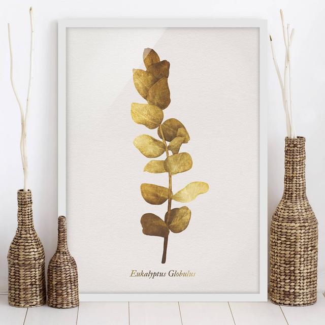 Gold - Eucalyptus - Picture Frame Graphic Art Mercer41 Size: 100cm H x 70cm W x 2cm D, Frame Option: White Framed on Productcaster.