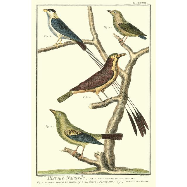 Martinet Bird Family I - Wrapped Canvas Art Prints August Grove Size: 30cm H x 20cm W x 3.8cm D on Productcaster.