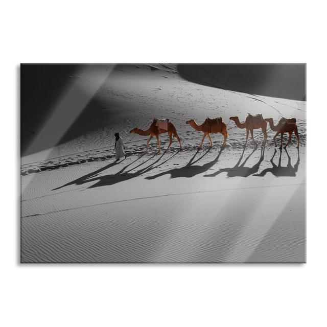 Camel Caravan In The Sahara - No Frame Print on Glass Gracie Oaks Size: 70cm H x 100cm W x 0.4cm D on Productcaster.