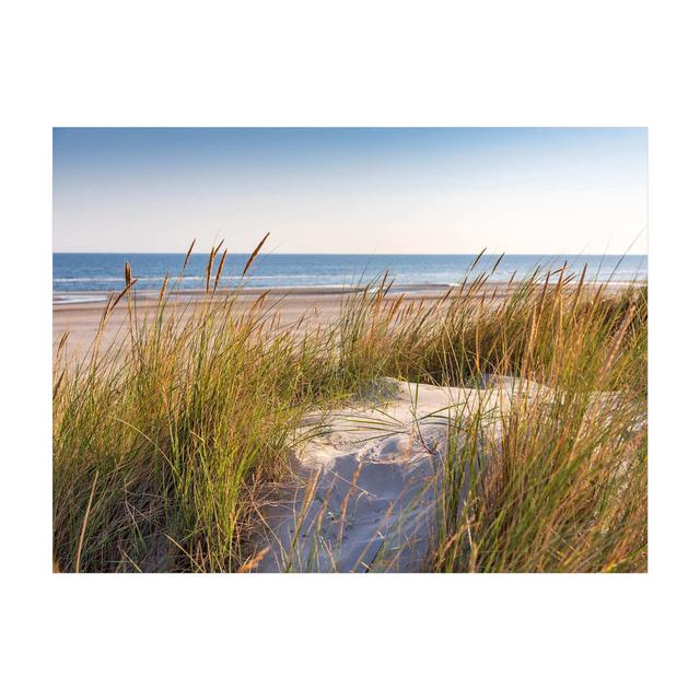 Jalonda Beach Dune by the Sea Cream/Beige/Green Rug East Urban Home Rug Size: Rectangle 75 x 100cm on Productcaster.