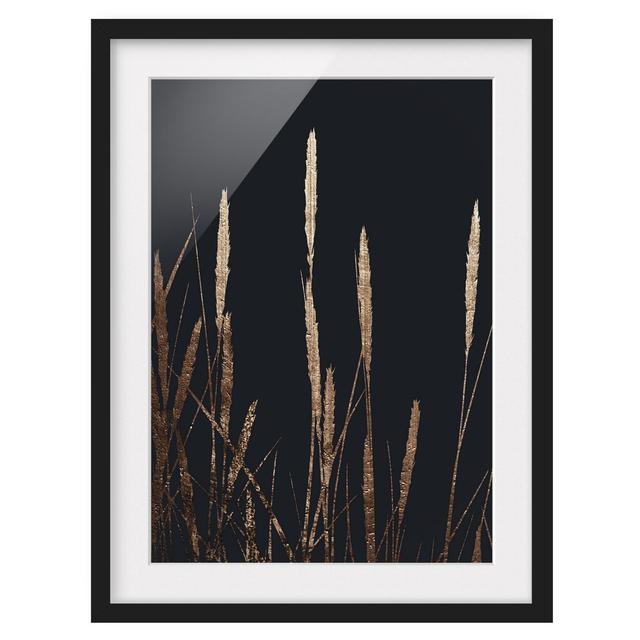 Gerahmtes Poster Flora – Golden Reed Canora Grey Größe: 40 cm H x 30 cm B x 2 cm T, Format: Schwarz, Matte Farbe: Weiß on Productcaster.