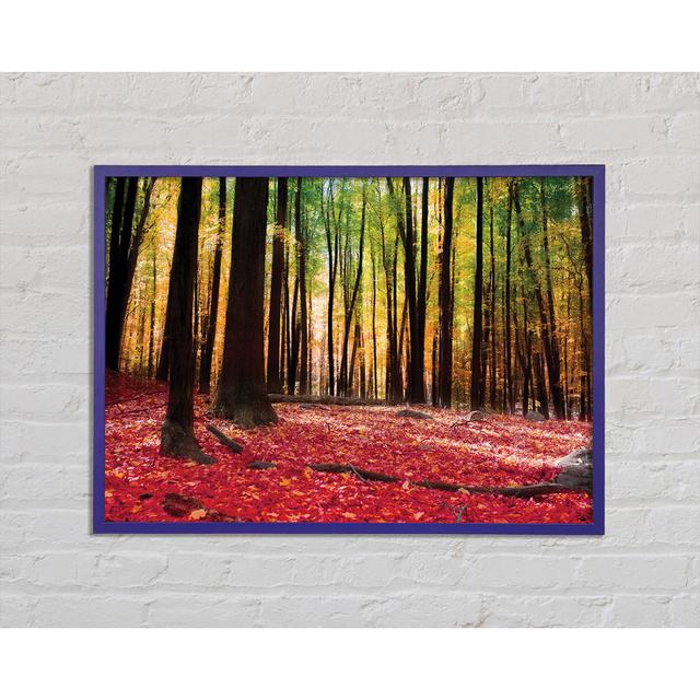 Autumn Leaves - Single Picture Frame Art Prints Union Rustic Size: 42cm H x 59.7cm W x 2cm D on Productcaster.