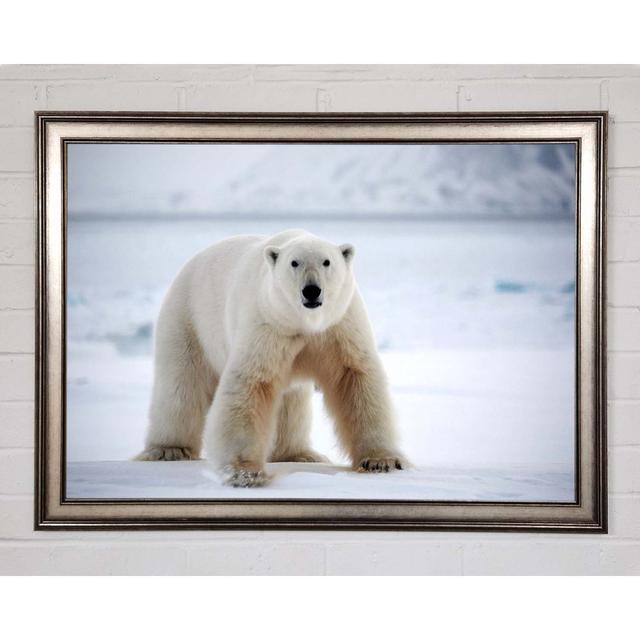 Polar Bear Snow - Print Ebern Designs Size: 100cm H x 141.4cm W x 8cm D, Format: Gold/Black Framed Paper on Productcaster.