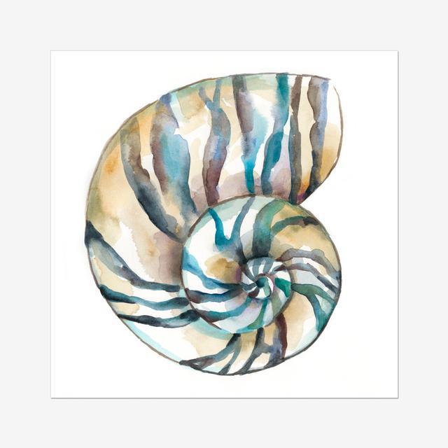 Aquarelle Shells II by Chariklia Zarris - Wrapped Canvas Painting House of Hampton Size: 76cm H x 76cm W, Format: Wrapped Canvas on Productcaster.