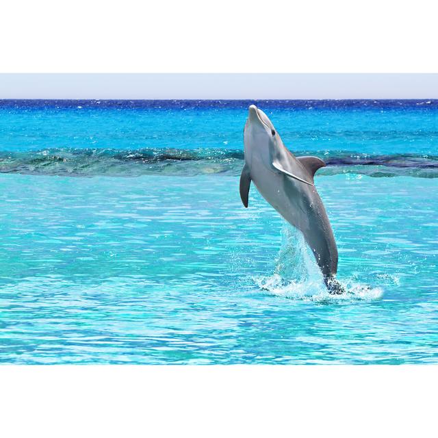 Dolphin from the Caribbean Sea by Patryk_Kosmider - Wrapped Canvas Photograph Highland Dunes Size: 51cm H x 76cm W x 3.8cm D on Productcaster.