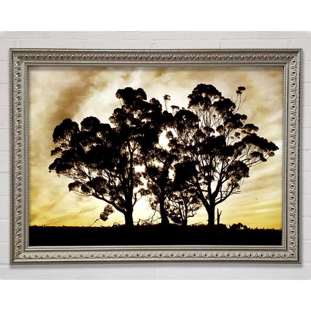 Chocolate Trees - Single Picture Frame Art Prints Rosalind Wheeler Size: 59.7cm H x 84.1cm W x 3cm D on Productcaster.