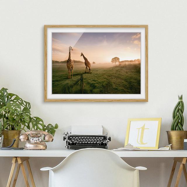 Gerahmter Fotodruck Surreal Giraffes East Urban Home Rahmenoptionen: Naturbelassenes Eichenholz, Größe: 40 cm H x 55 cm B on Productcaster.