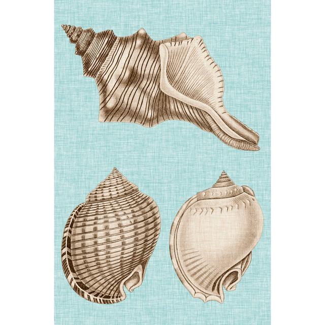 Sepia & Aqua Shells V Highland Dunes Size: 122cm H x 81cm W on Productcaster.