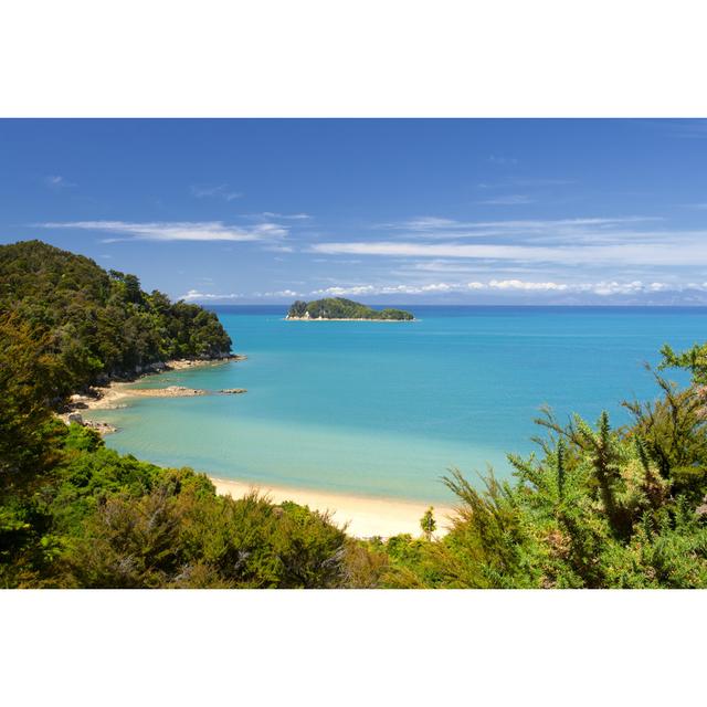 Abel Tasman National Park House of Hampton Size: 20cm H x 30cm W x 3.8cm D on Productcaster.