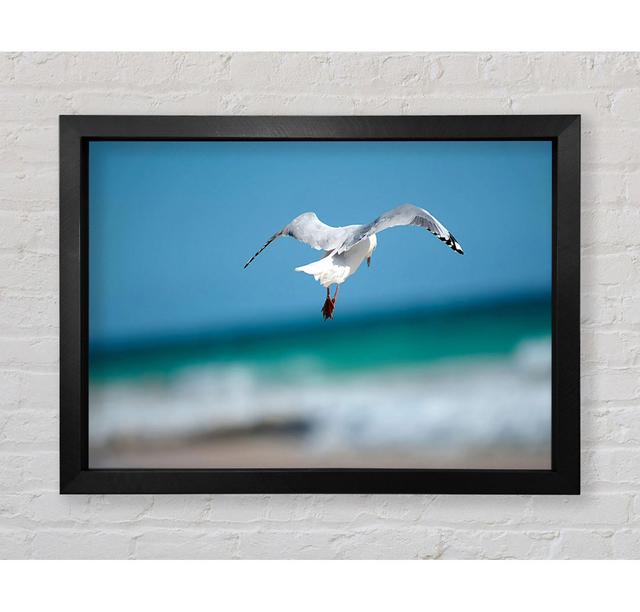 Seagull Over The Ocean - Single Picture Frame Art Prints Bright Star Size: 100cm H x 141.4cm W x 3.4cm D on Productcaster.