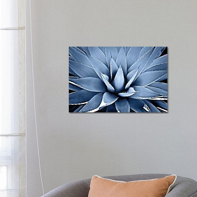 Indigo Succulent III by Mia Jensen - Wrapped Canvas Photograph Bloomsbury Market Size: 46cm H x 66cm W on Productcaster.