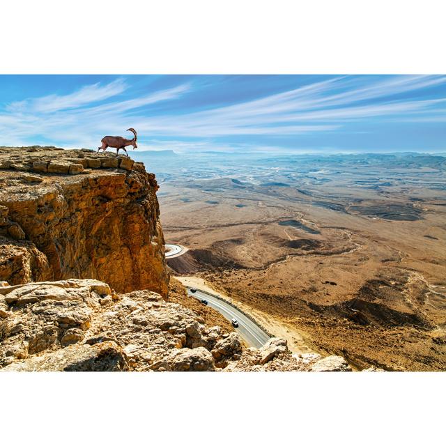 Sinai Ibex on a Steep Cliff by Kavram - Wrapped Canvas Photograph Alpen Home Size: 51cm H x 76cm W on Productcaster.