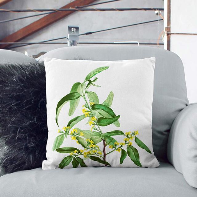 Russian Olive Tree Flowers by Pierre-Joseph Redoute Cushion with Filling East Urban Home Size: 55cm H x 55cm W x 20cm D, Backing Colour: White on Productcaster.