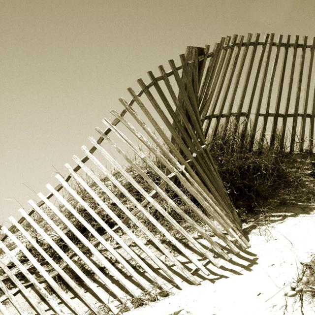 Fences in the Sand III by Noah Bay - Wrapped Canvas Photograph Ebern Designs Size: 91cm H x 91cm W on Productcaster.