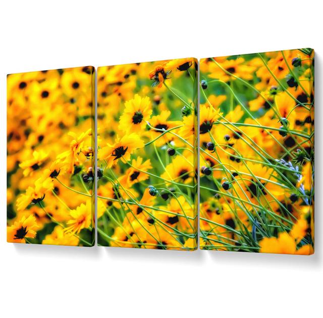 Very Yellow - 3 Piece Wrapped Canvas Graphic Art Ebern Designs Size: 121.9cm H x 243.8cm W on Productcaster.