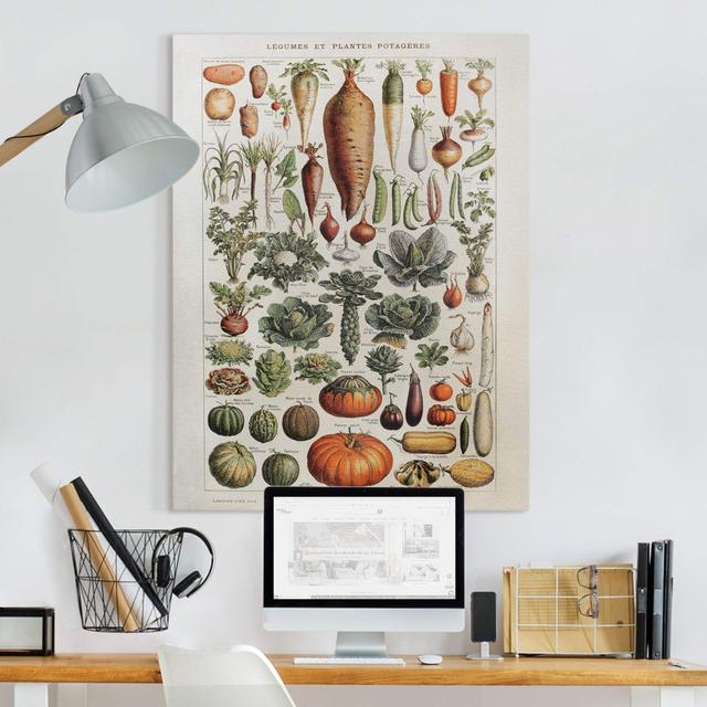 Vintage Wall Chart with Vegetables - Wrapped Canvas Graphic Art August Grove Size: 80cm H x 60cm W on Productcaster.