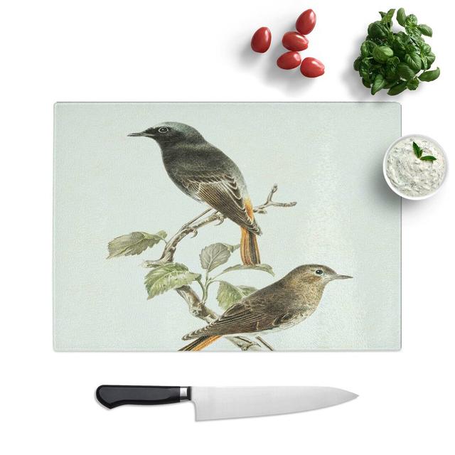 Glass European Black Redstart by Von Wright Chopping Board East Urban Home Size: 28.5 cm W x 20 cm L on Productcaster.