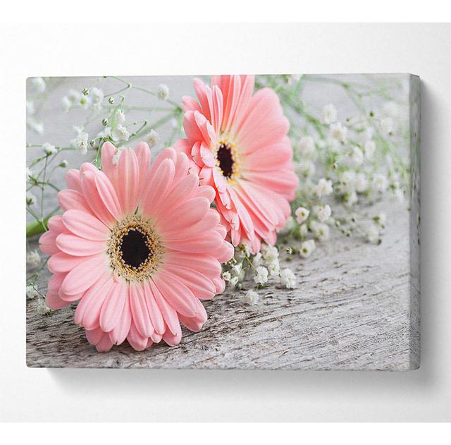 Pink Gerbera Laying Down Close - Wrapped Canvas Photograph 17 Stories Size: 81cm H x 121.9cm W on Productcaster.