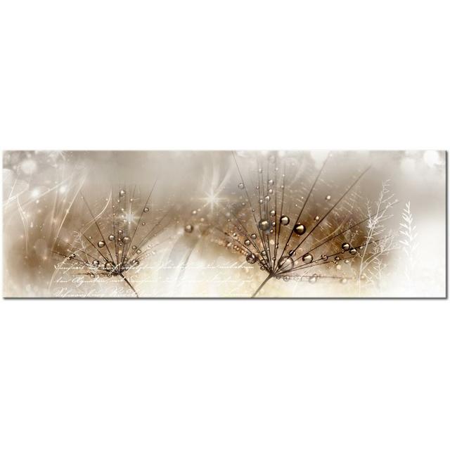 'Drops of Dew' Graphic Art on Wrapped Canvas in Brown East Urban Home Size: 40 cm H x 120 cm W on Productcaster.