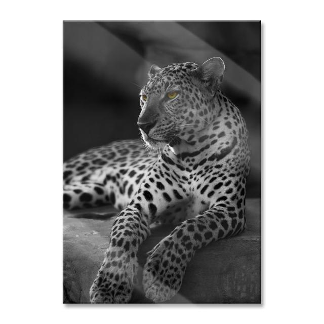 Leopard Lying On A Rock - No Frame Print on Glass Canora Grey Size: 80cm H x 60cm W x 0.4cm D on Productcaster.