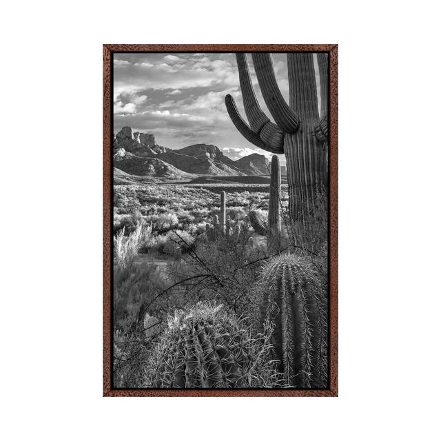 Saguaro And Barrel Cacti, Sant Catalina Mountains, Catalina State Park, Arizona by Tim Fitzharris - Print on Canvas 17 Stories Size: 66.04cm H x 45.72 on Productcaster.