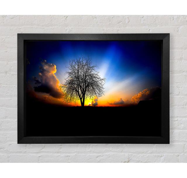 The Next Morning - Single Picture Frame Art Prints Bright Star Size: 42cm H x 59.7cm W x 3.4cm D on Productcaster.