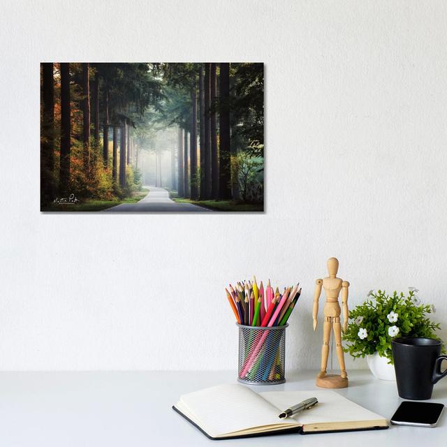 Mysterious Roads by Martin Podt - Wrapped Canvas Gallery-Wrapped Canvas Giclée Wayfair Samples Size: 20.32cm H x 30.48cm W on Productcaster.