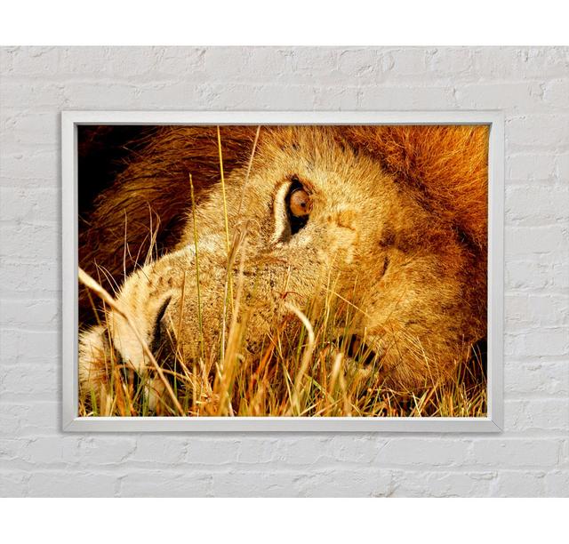 The Eye Of Lion - Single Picture Frame Art Prints on Canvas Ebern Designs Size: 100cm H x 141.4cm W x 3.3cm D on Productcaster.