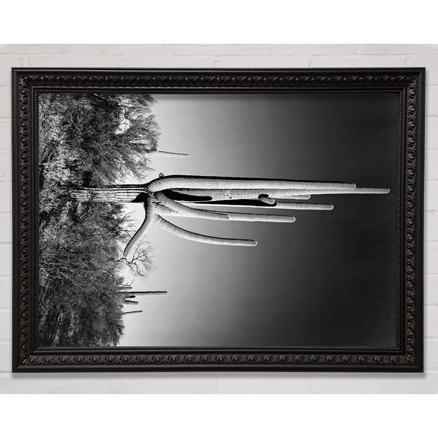 Ansel Adams Cactus In Saguaro National Monument In Arizona - Single Picture Frame Art Prints Bright Star Size: 84.1cm H x 59.7cm W on Productcaster.