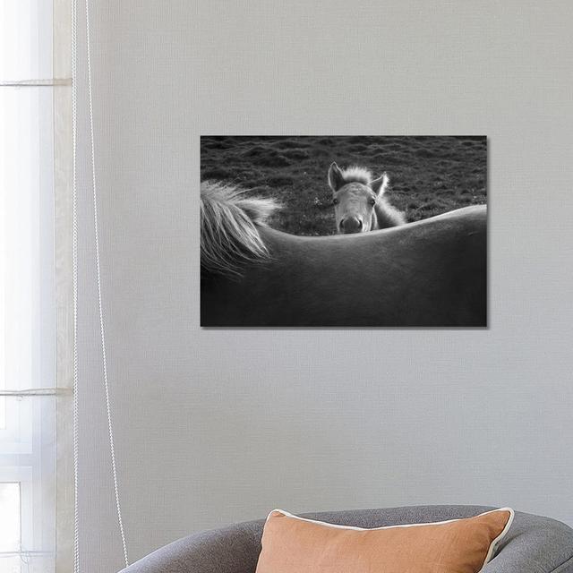 Mother's Back by John Fan - Wrapped Canvas Print Gracie Oaks on Productcaster.