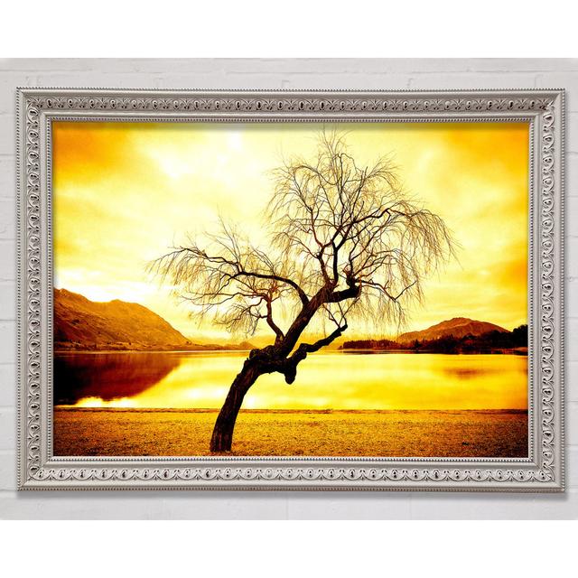 Willow Tree In Winter Framed Print House of Hampton Size: 84.1cm H x 118.9cm W x 3cm D, Format: White Framed Paper on Productcaster.