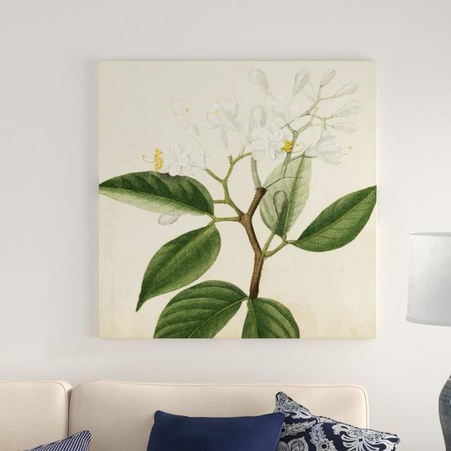 Garden Bounty VI - Wrapped Canvas Print Blue Elephant Size: 91cm H x 91cm W on Productcaster.