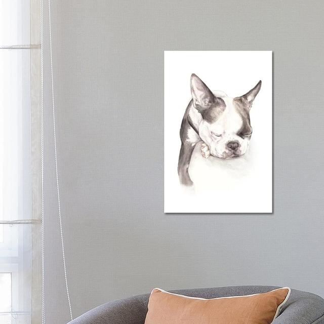 Boston Terrier Sleeping by Wandering Laur - Wrapped Canvas Painting ClassicLiving Size: 66.04cm H x 45.72cm W x 3.81cm D on Productcaster.