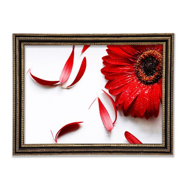 Single Picture Frame Art Prints Ebern Designs Size: 59.7cm H x 84.1cm W on Productcaster.